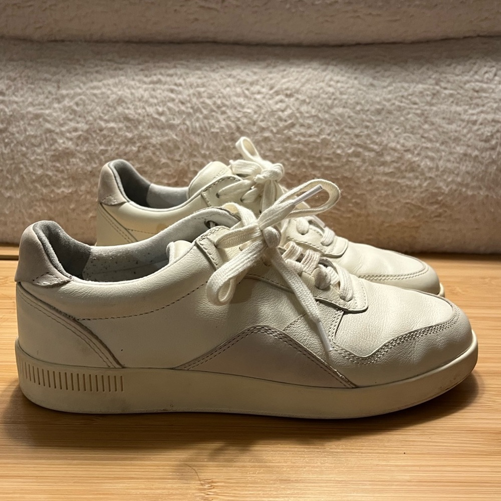 Everlane The Court Sneaker in Off-White/Fog